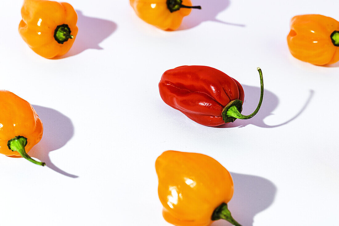 Von oben von einem reifen gelben Paprika unter vielen roten Paprika auf weißem Tisch im Studio platziert