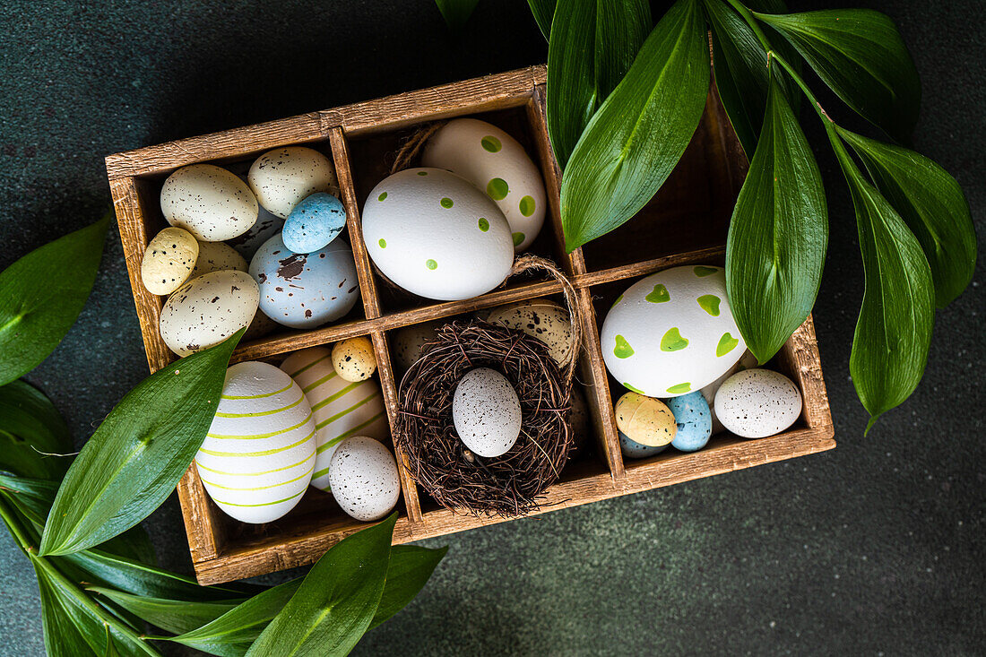 From above spring Easter wooden box with colored eggs and nest surrounded by italian Ruscus plant