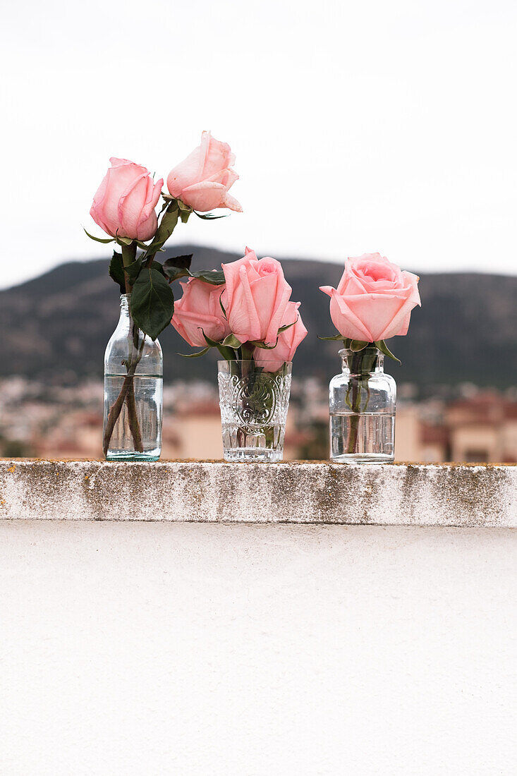 Pink roses inside glass vases placed on terrace outdoors