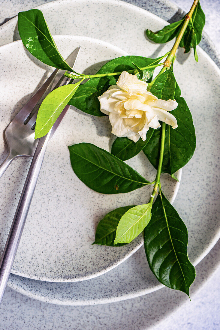 From above of gentle white garden Gardenia jasminoides with green leaves placed on elegant ceramic plates on table