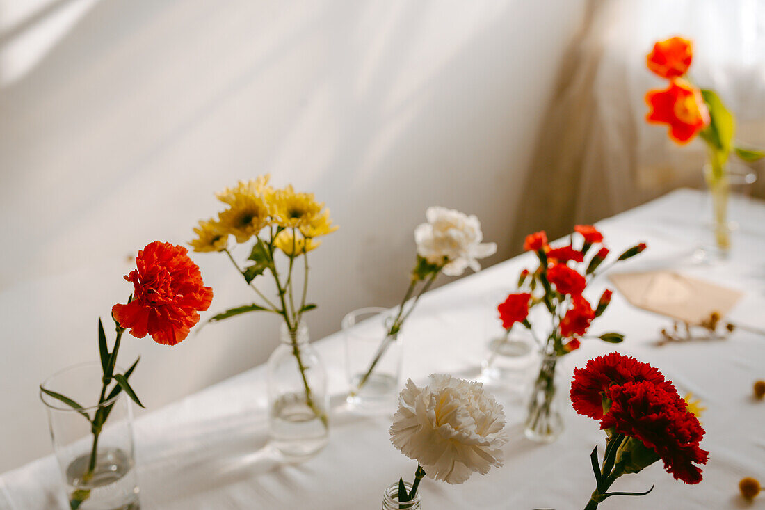 Gläser mit frischen Tulpen und Nelken in Wasser auf dem Tisch für Blumensträuße