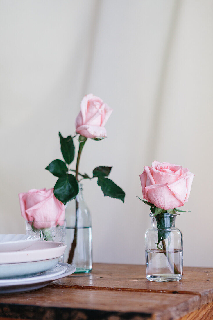 Pink roses inside glass vases placed on wooden table against neutral background