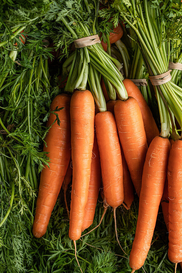 Draufsicht auf ein Bündel frischer, reifer, orangefarbener Karotten, die auf einem Marktstand angeboten werden