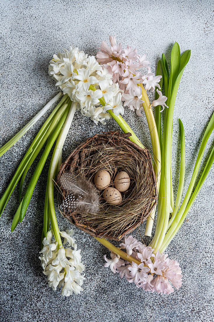 From above easter nest with eggs and hyacinth flowers on concrete background