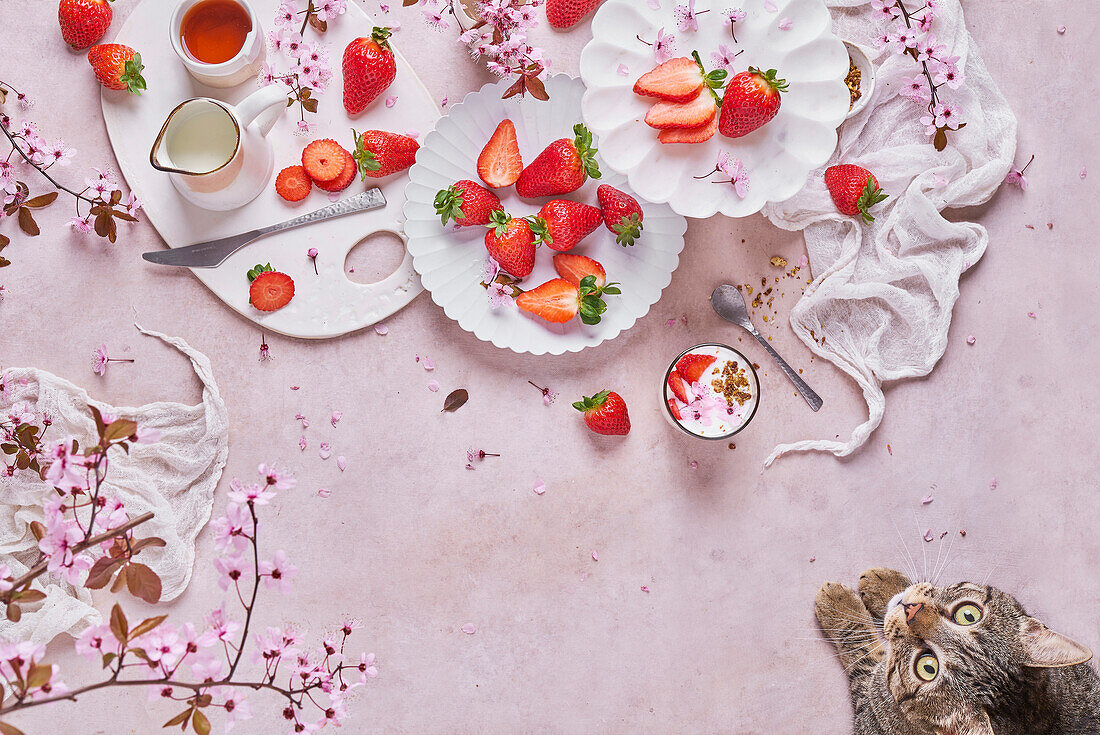 From above of glass of delicious yogurt with granola placed on table near plates of fresh ripe strawberries served on table in kitchen