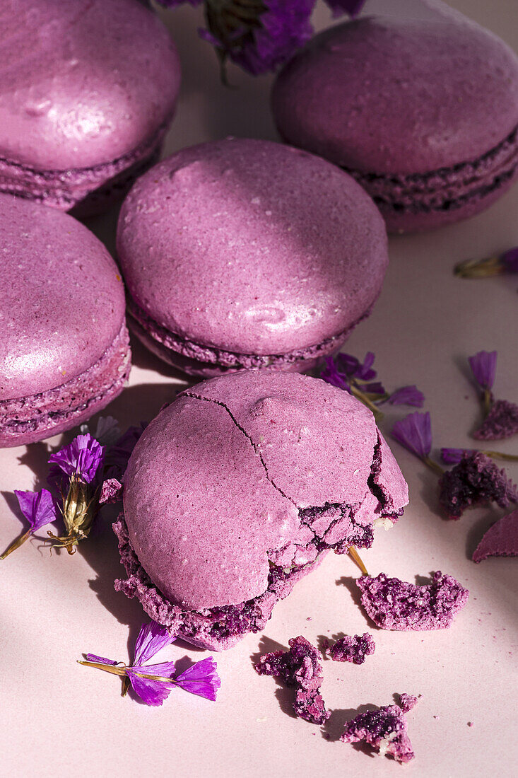 Bunch of delicious violet macaroons served on plate near delicate flowers on sunlit table