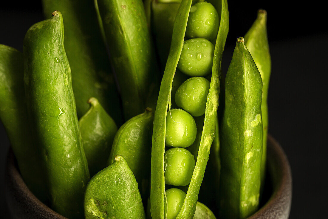 Bunch of ripe green pods with fresh peas placed in ceramic pot against black background