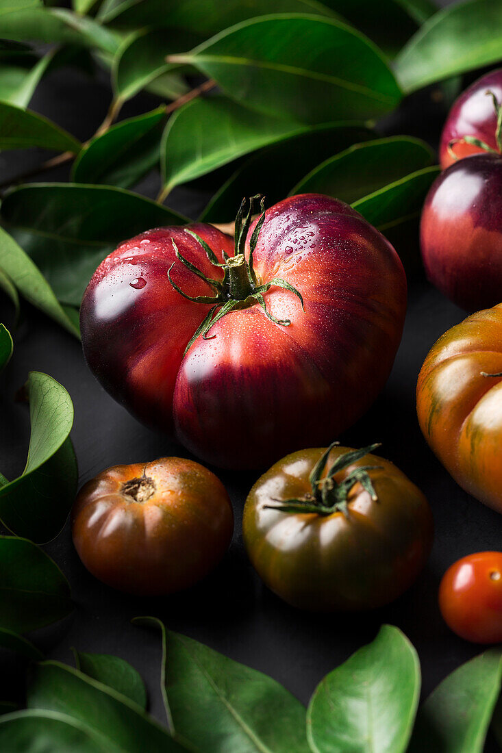 Von oben verschiedene frische Tomaten auf einem schwarzen Tisch