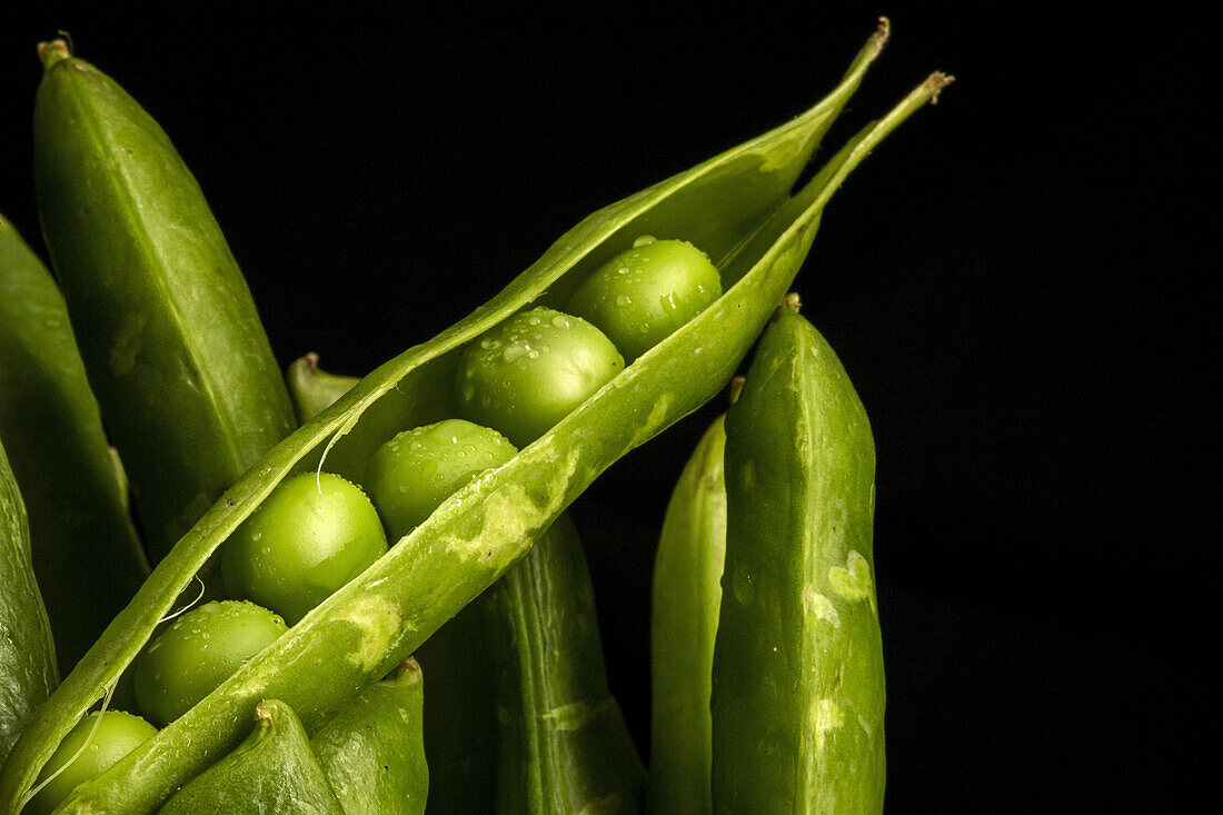 Bunch of ripe green pods with fresh peas against black background