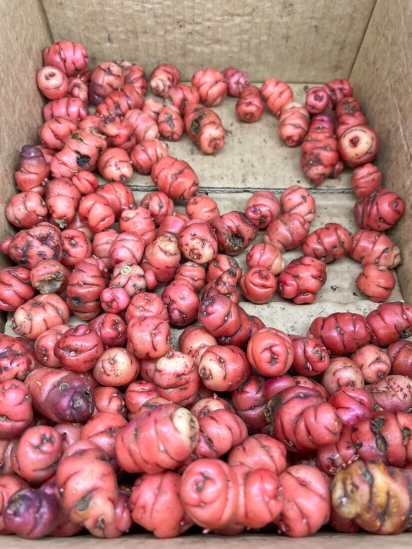 From above of fresh red oca in carton box placed on stall in Australian market