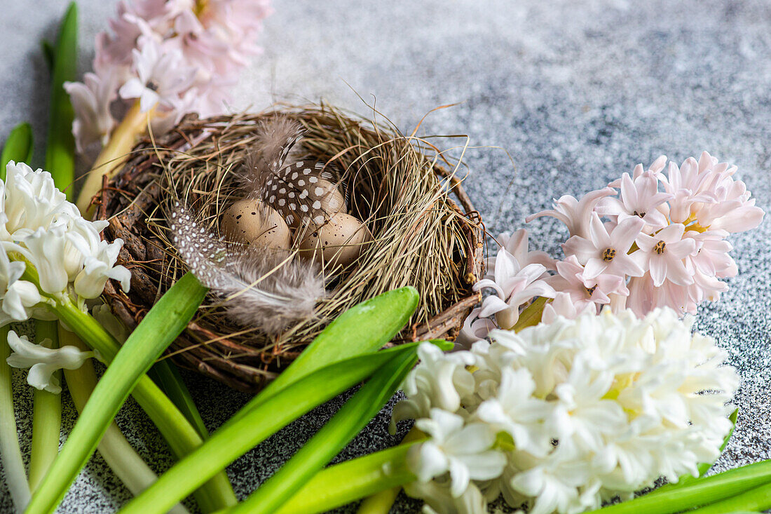 Easter nest with eggs and hyacinth flowers on concrete background