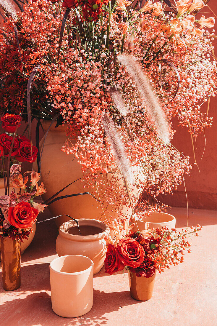 Composition of clay pots with blooming roses gypsophilia flowers and decorative grass at sunlight near red wall