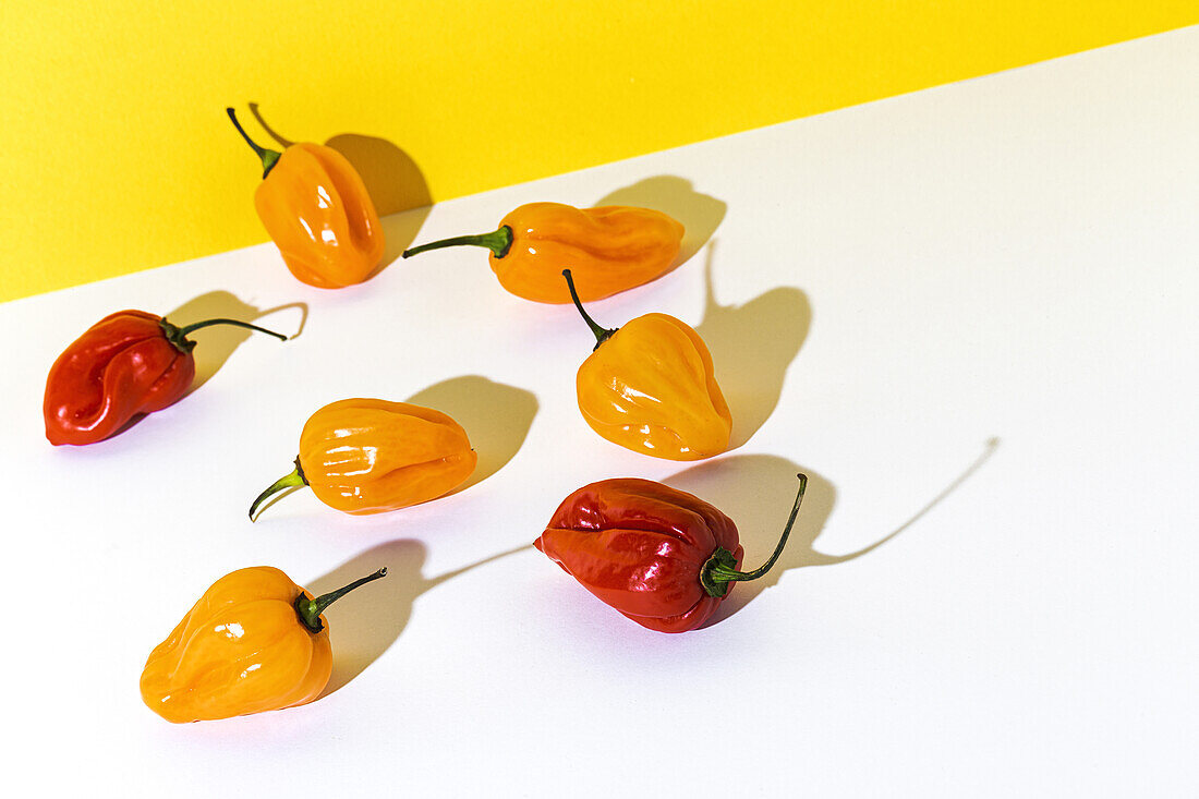 Von oben von einem reifen gelben Paprika unter vielen roten Paprika auf weißem Tisch im Studio platziert