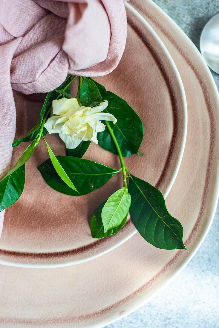 Blick von oben auf einen zarten weißen Garten Gardenia jasminoides mit grünen Blättern auf einem eleganten rosa Keramikteller auf dem Tisch