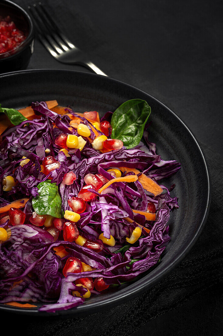 Hausgemachter lila Krautsalat mit Mais, Karotten, Granatapfel und Spinat auf dunklem Hintergrund. Vegane Ernährung Konzept. Gesundes Essen