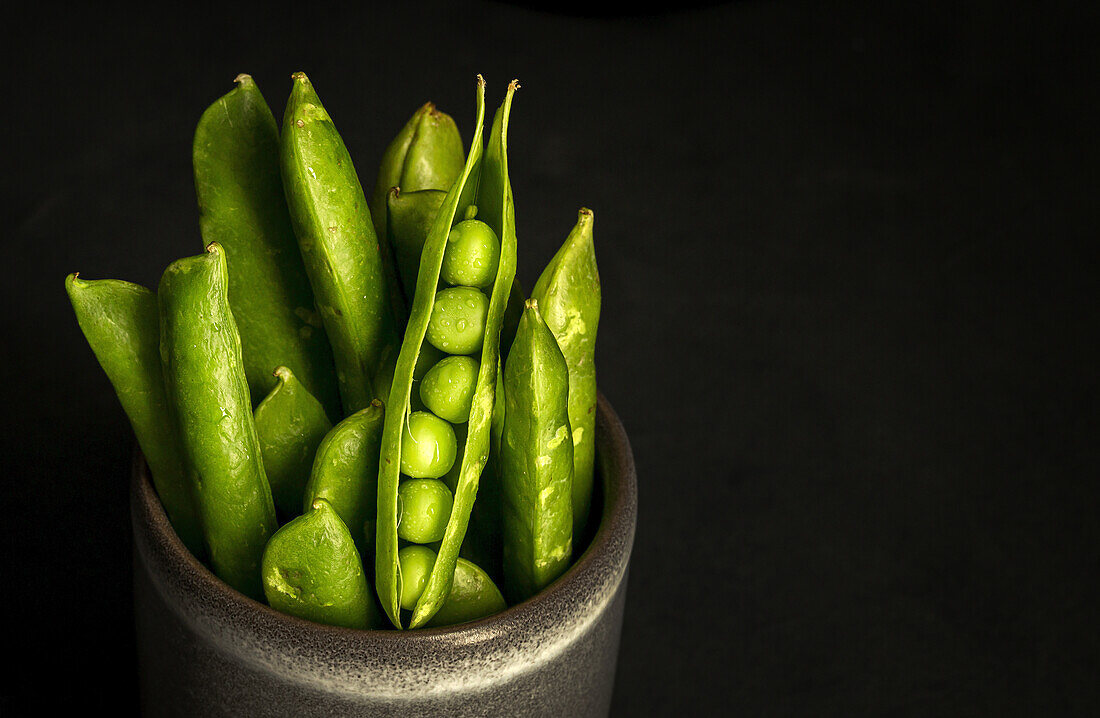 Bunch of ripe green pods with fresh peas placed in ceramic pot against black background