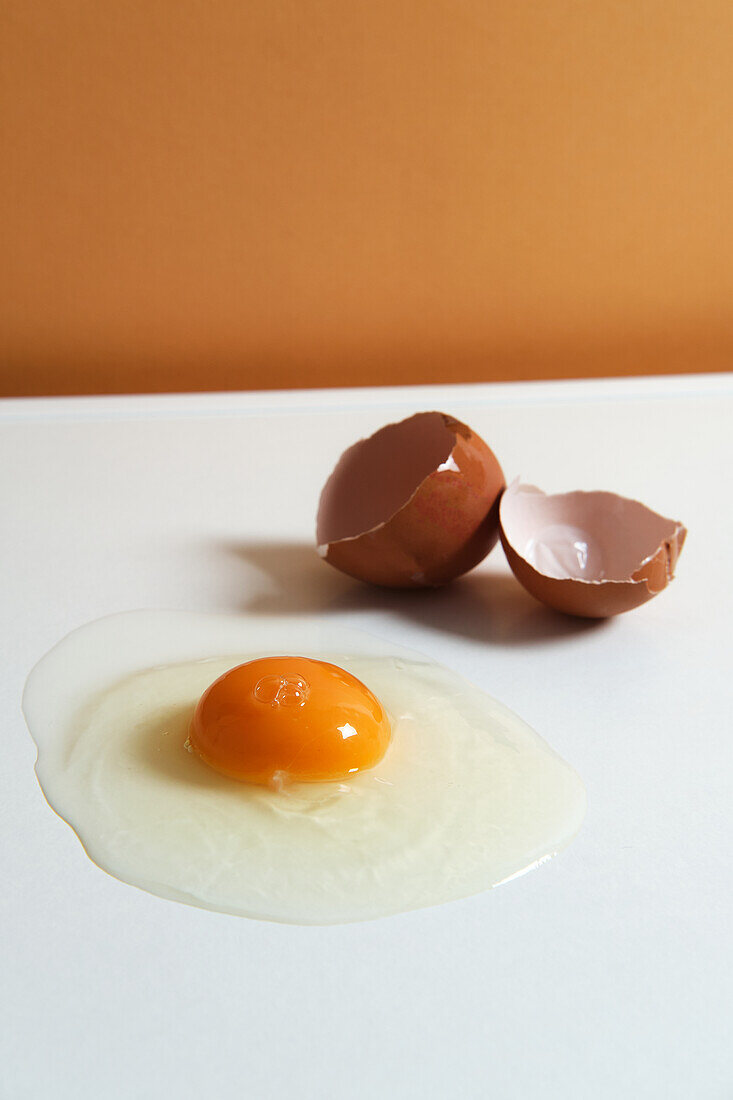 From above of fresh raw chicken egg placed on white background in bright studio