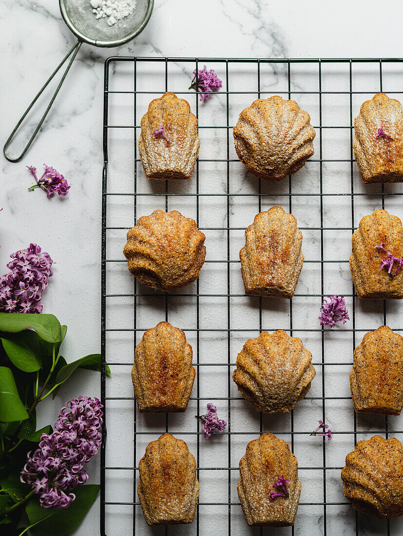 Top view of tasty madeleines on cooling rack near lavender flowers on marble surface
