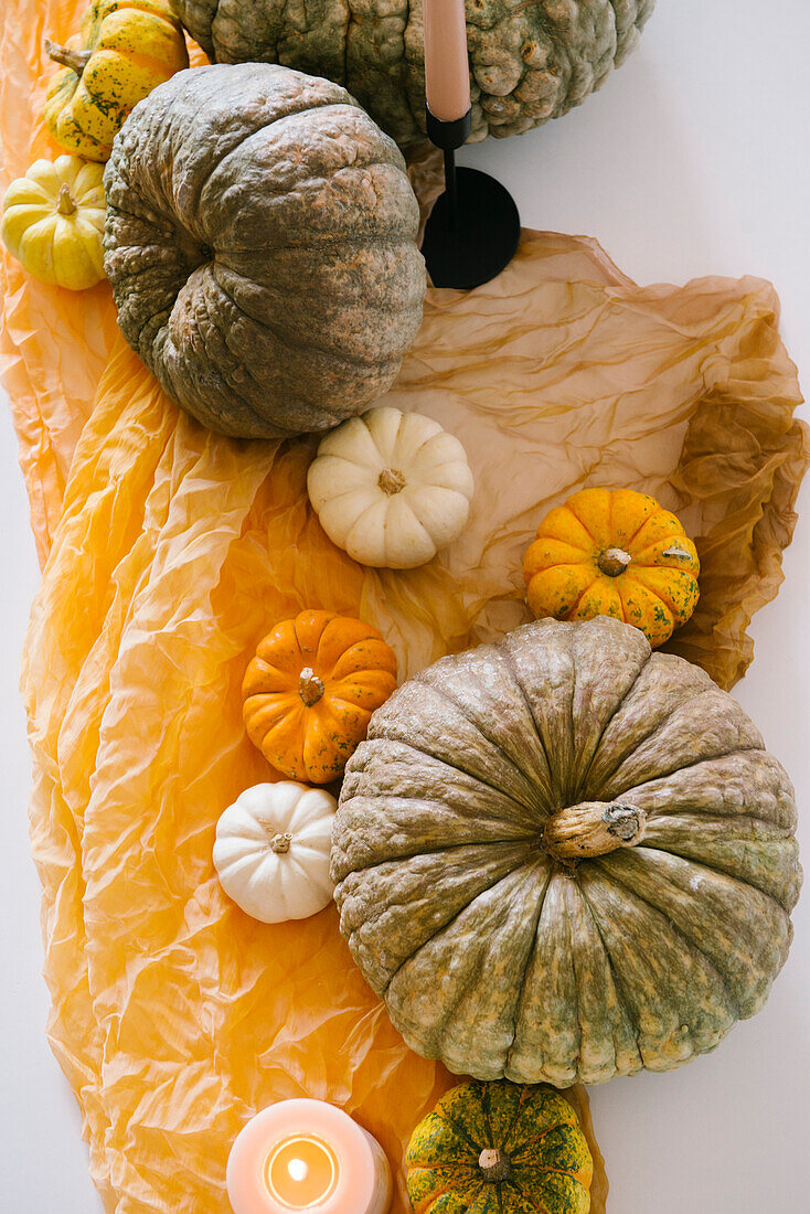 Top view of creative Halloween composition of fresh pumpkins of various sizes and burning candles arranged on crumpled orange cloth on white table