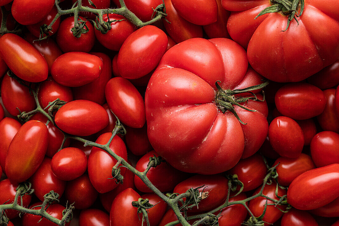 Top view of branch of delicious fresh red tomatoes placed on cardboard box