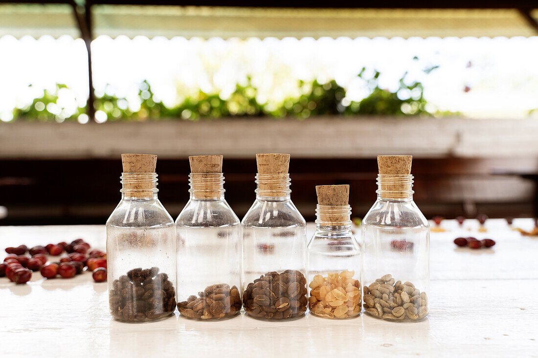 Selektiver Fokus auf eine Reihe von kleinen verkorkten Plastikflaschen mit verschiedenen Kaffeebohnen auf einem Tisch vor Beeren