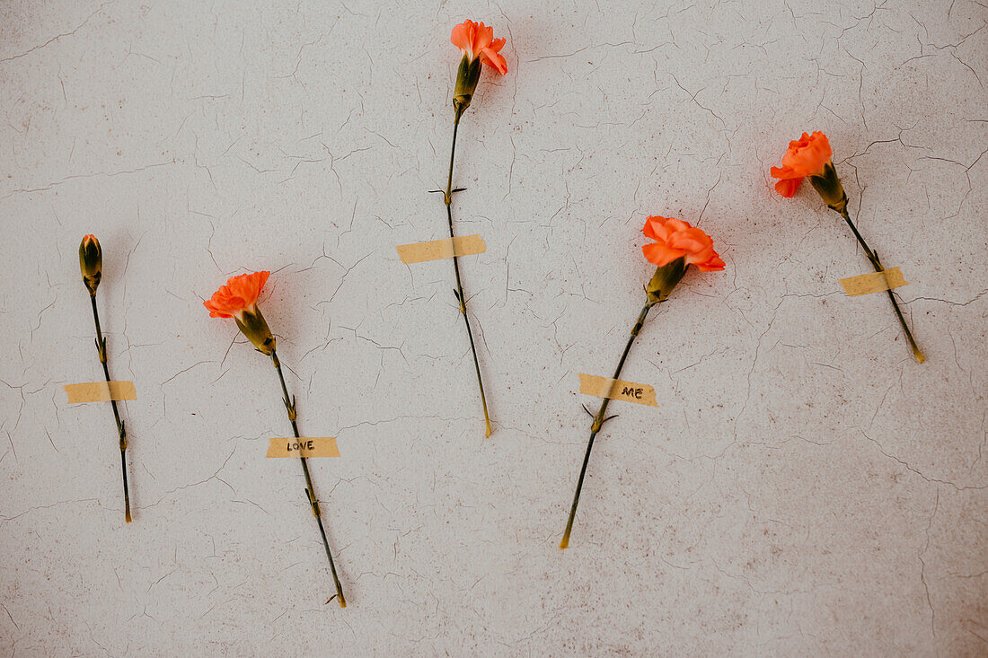 Komposition von hellen Blumen mit Aufklebern mit der Aufschrift liebe mich repräsentieren Konzept Selbstvertrauen