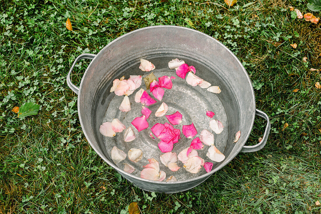 Blütenblätter einer frischen rosafarbenen Rose, die in einem Metallbecken auf einer Wiese schwimmen, von oben