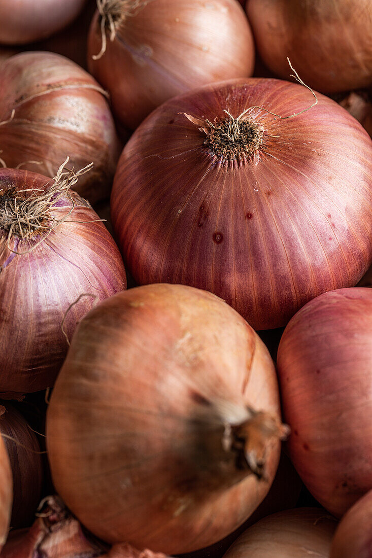 Vollbild-Hintergrund von verschiedenen bunten frischen Zwiebeln auf einem lokalen Markt