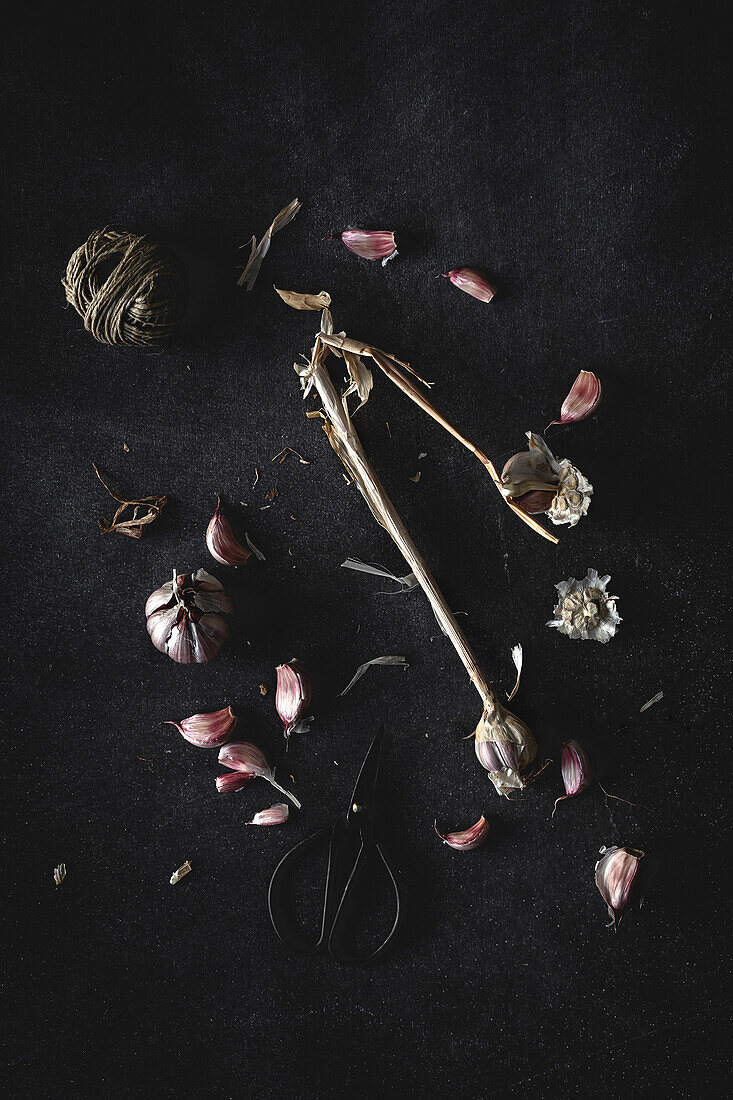 From above bouquet of fresh purple garlic cloves placed in dark background