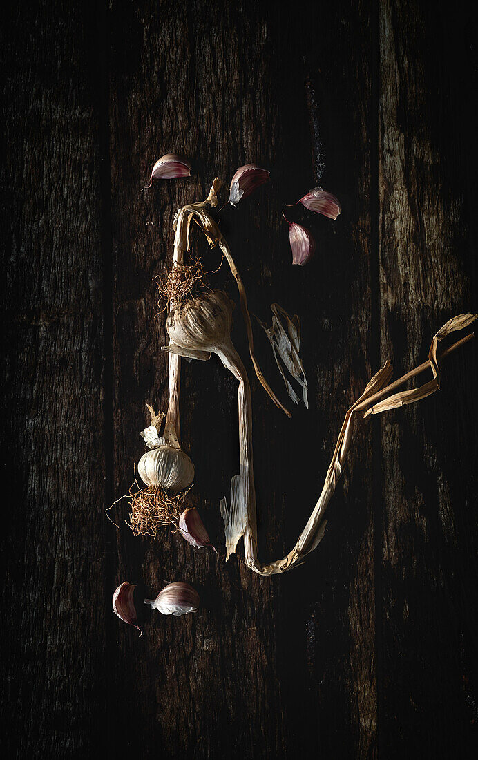 From above bouquet of fresh purple garlic cloves placed in dark wooden background