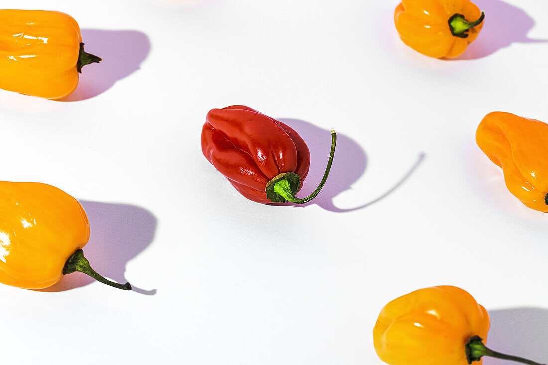 From above of one ripe yellow pepper placed among many red peppers on white table in white studio background