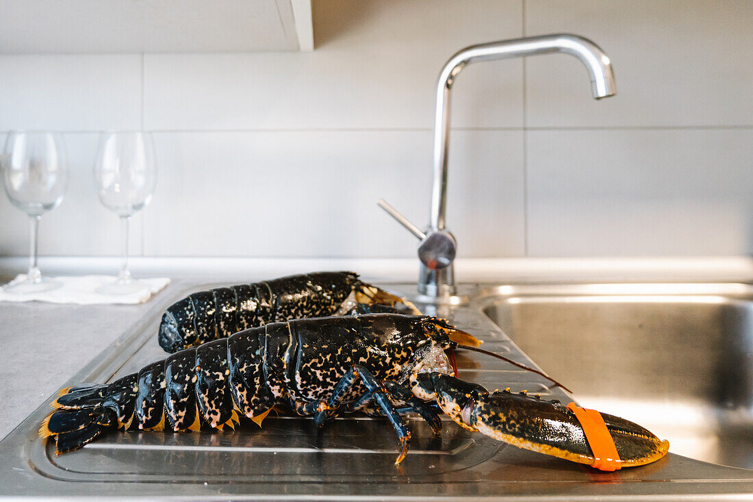 Roher schwarzer Hummer mit Scheren auf Metallspüle mit Wasserhahn in heller Küche mit Glaswaren vor dem Kochen zu Hause