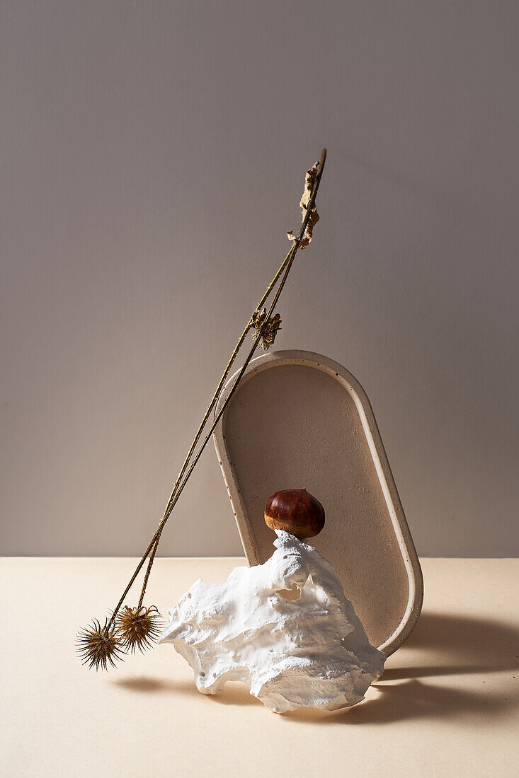 Stillleben Komposition mit getrockneten Zweig auf dem Tisch mit getrockneten Zweig und Kastanie auf Stein gegen grauen Hintergrund im Studio platziert
