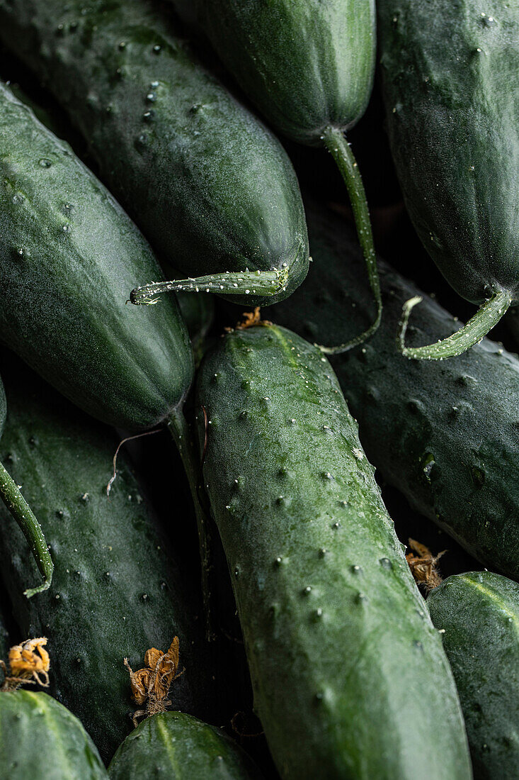 Top view full frame of assorted ripe green cucumber with thorns placed together