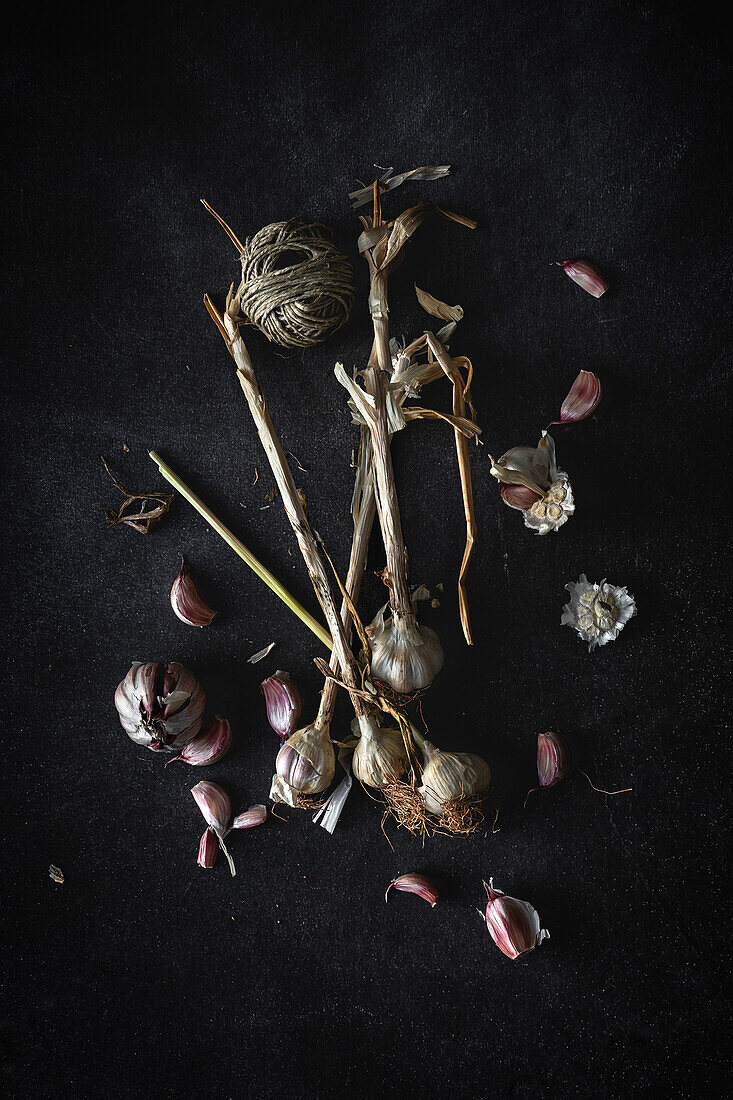 From above bouquet of fresh purple garlic cloves placed in dark background