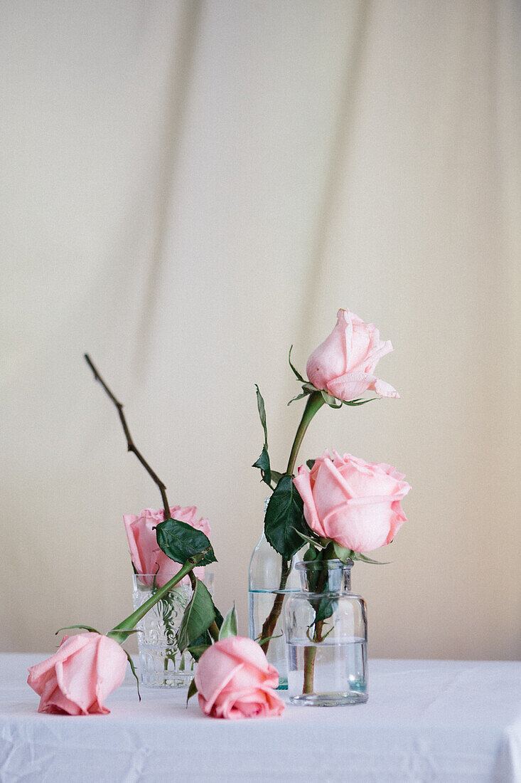 Pink roses inside glass vases placed on table against neutral background