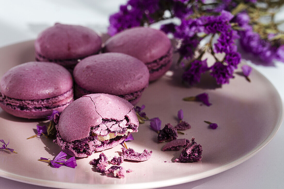 Bunch of delicious violet macaroons served on plate near delicate flowers on sunlit table