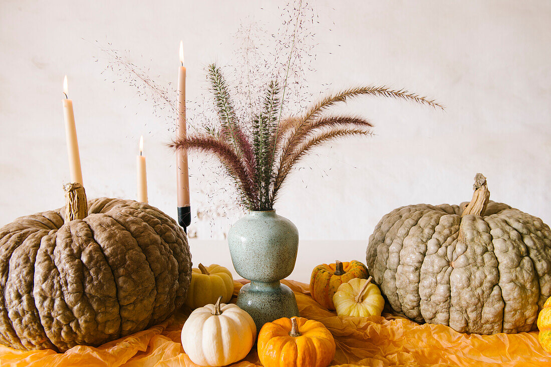 Creative table setting with assorted pumpkins compose with burning candles and vases with dry plants placed near ceramic plate and glasses during Halloween dinner