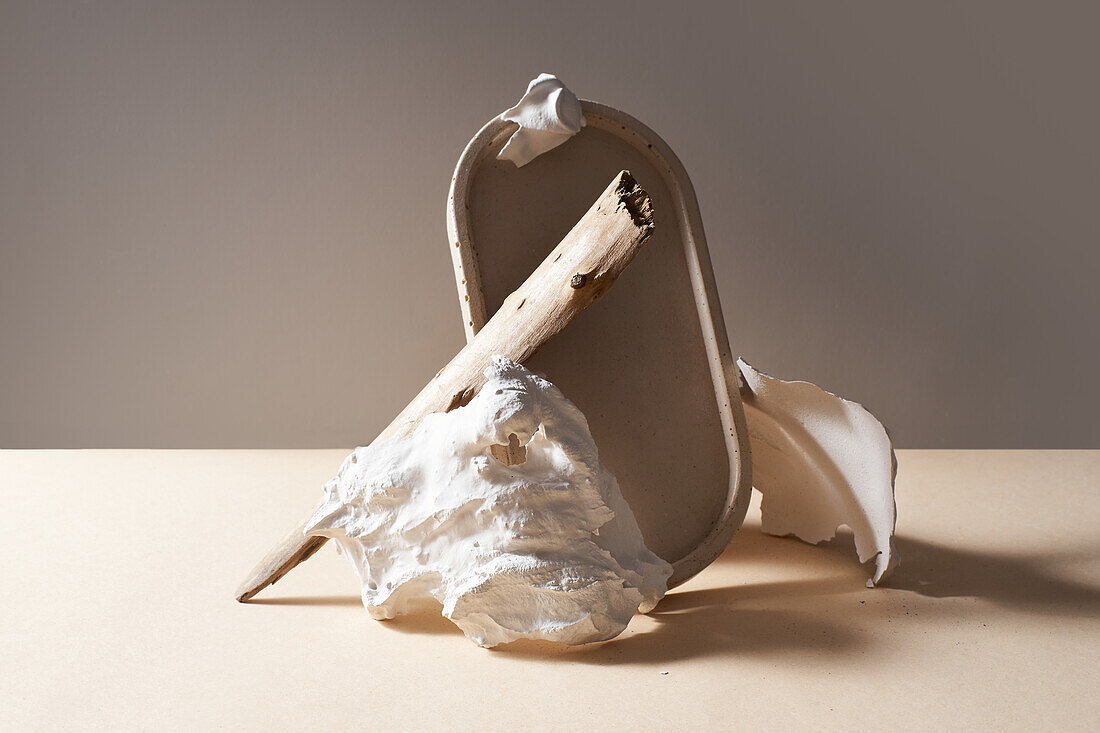 Still life composition with dried twig placed on table on stone against gray background in studio