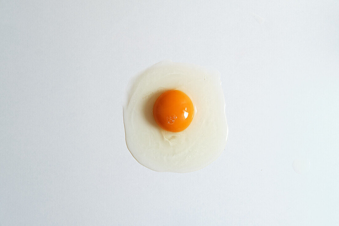 Top view of fresh raw chicken egg placed on white background in bright studio
