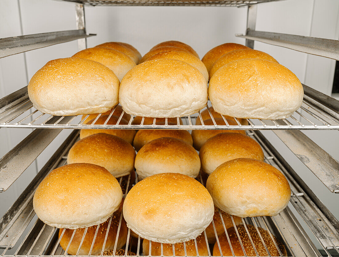 Rows of tasty round shape bread with golden surface and crunchy crust on metal rack shelves