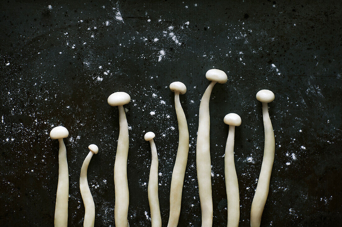 Draufsicht auf weiße Enoki-Pilze für die Zubereitung von Speisen, die in einer Reihe auf einem schwarzen Tisch stehen