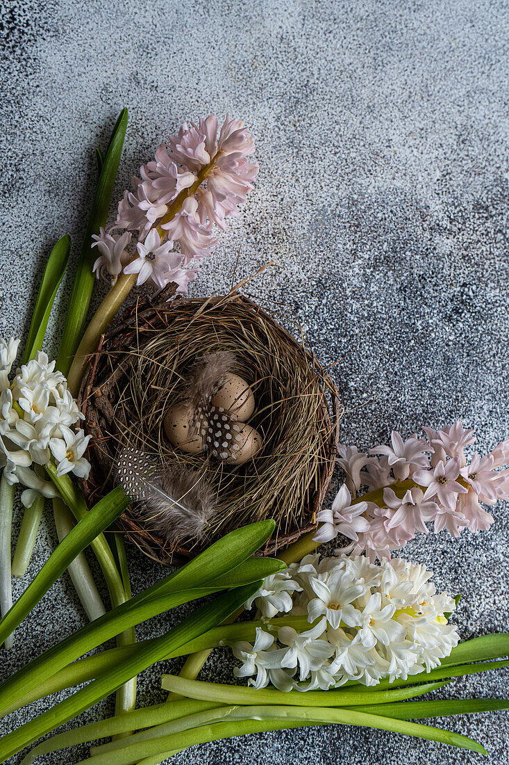 From above easter nest with eggs and hyacinth flowers on concrete background