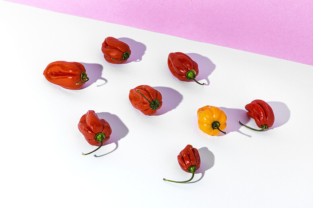 From above of one ripe yellow pepper placed among many red peppers on white table in studio