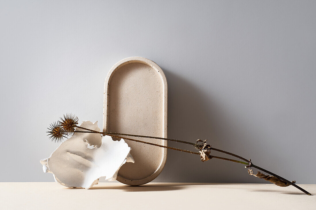 Still life composition with dried twig placed on table on stone against gray background in studio