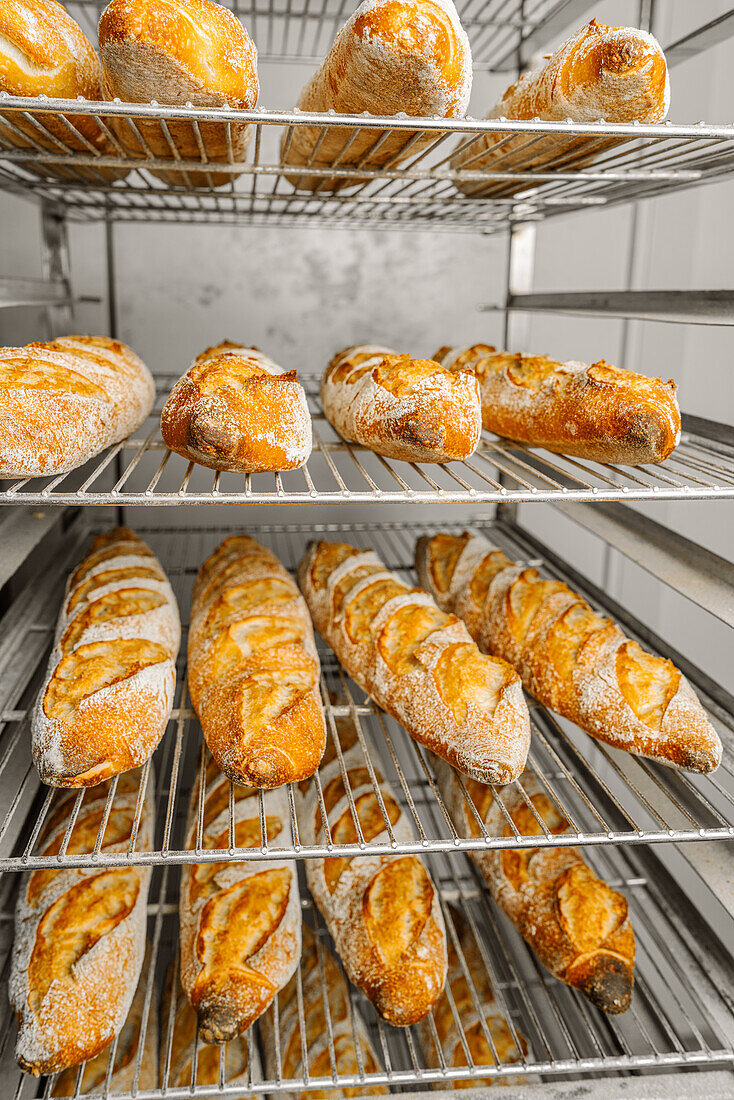 Rows of tasty oval shaped bread with golden surface and crunchy crust on metal rack shelves