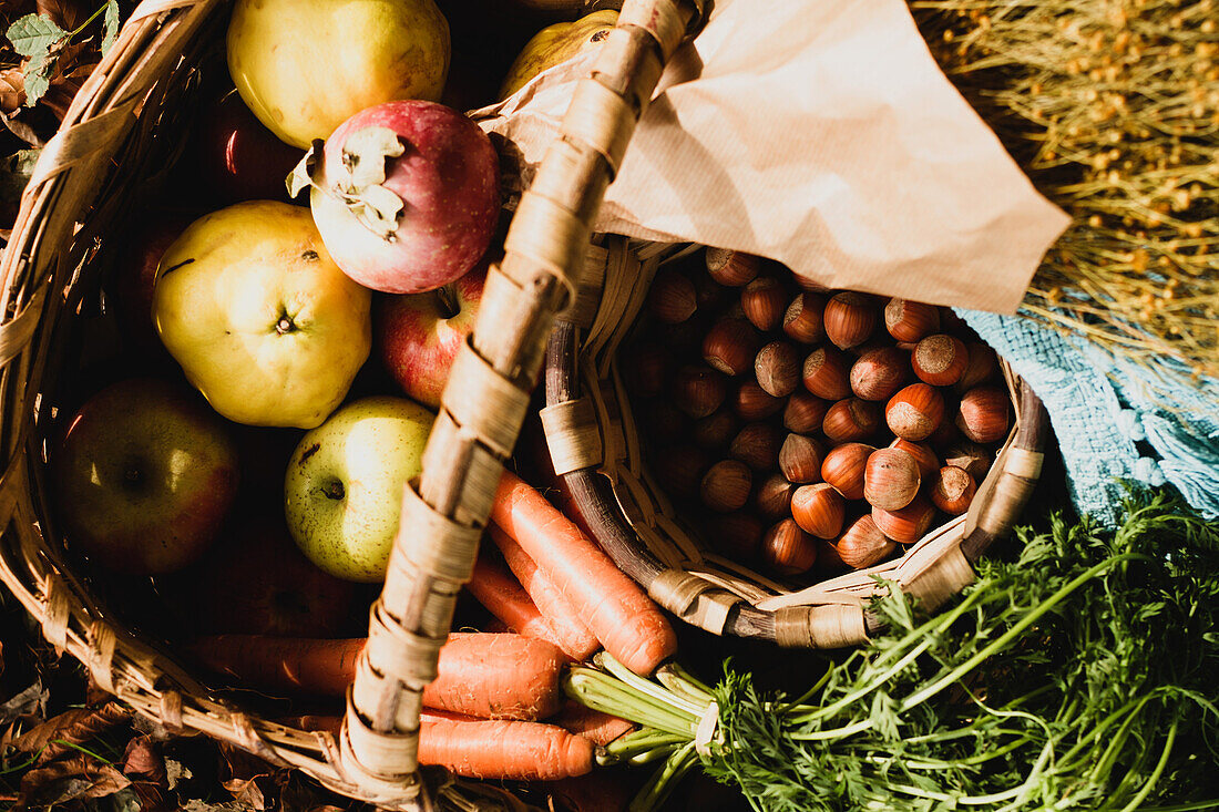 Von oben Weidenkorb mit reifem frischem buntem Gemüse und Obst in Komposition mit Kräutern und Haselnuss auf dem Boden stehend zwischen braunem trockenem Laub neben warmem blauen Plaid im Herbstgarten