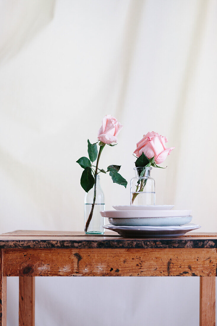 Pink roses inside glass vases placed on wooden table against neutral background