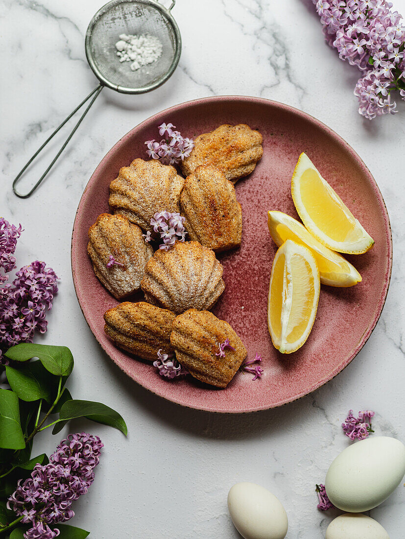 Draufsicht auf leckere Madeleines mit frischen Zitronenstücken und Lavandula-Blüten zwischen Puderzucker im Sieb und Eiern