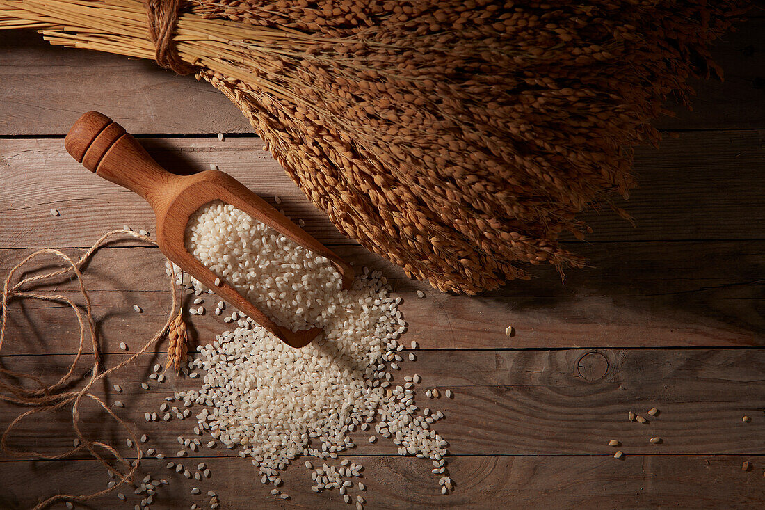 Top view of wooden grain scoop with pile of scattered white rice on wooden table near tied bunch of dry wheat ears